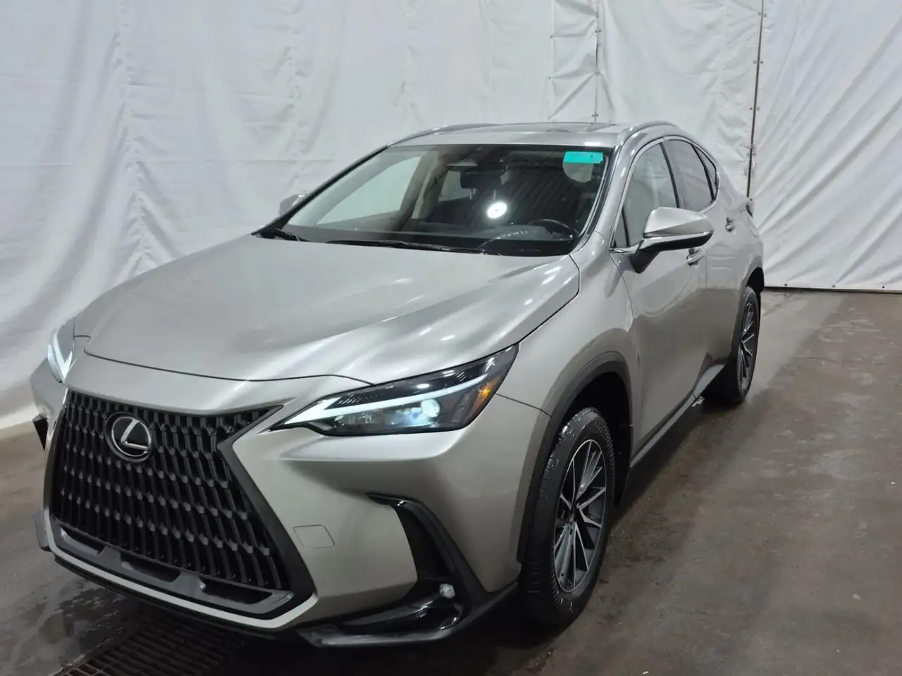 2024 Lexus NX