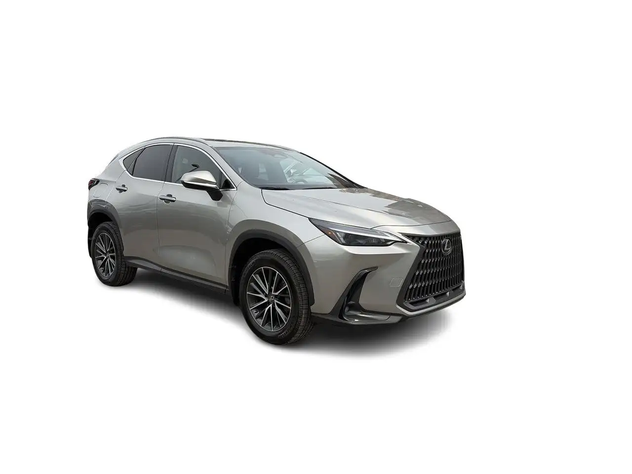 2022 Lexus NX