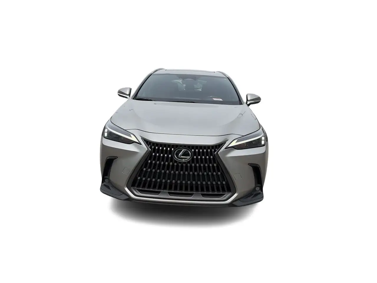 Lexus NX снимка Lexus NX