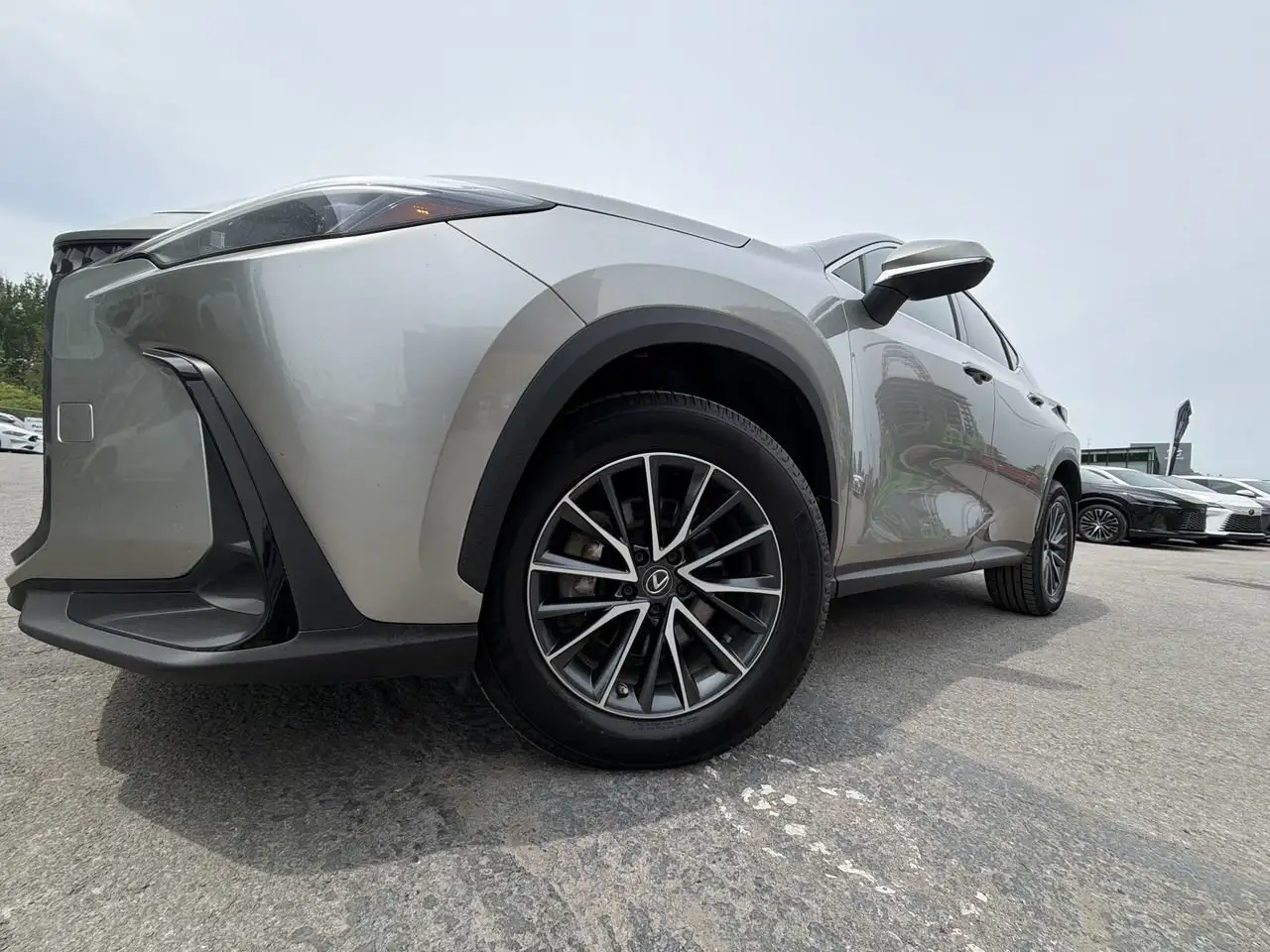 Lexus NX снимка Lexus NX