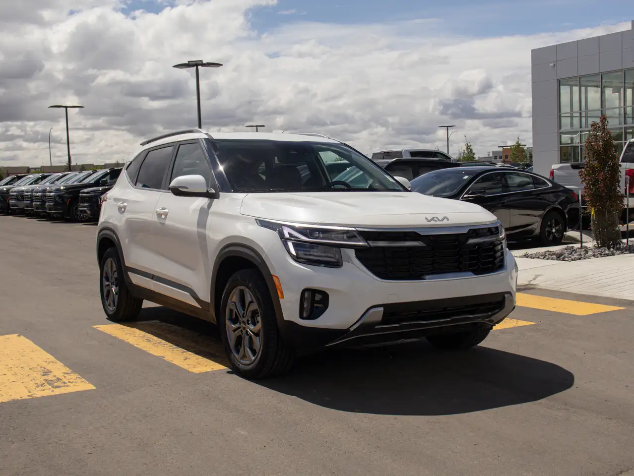 Kia Seltos fotografie Kia Seltos