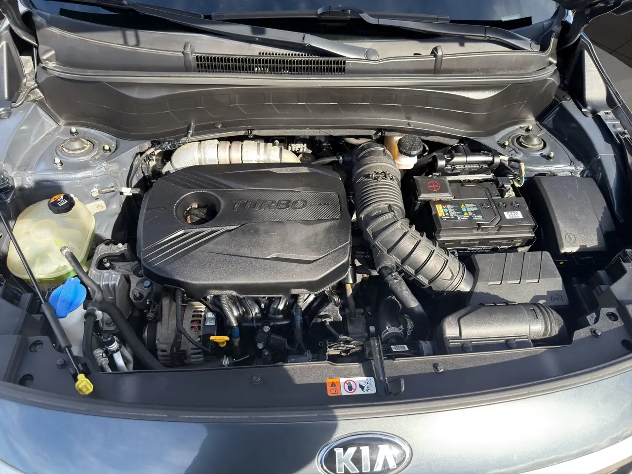 Kia Seltos photo Kia Seltos