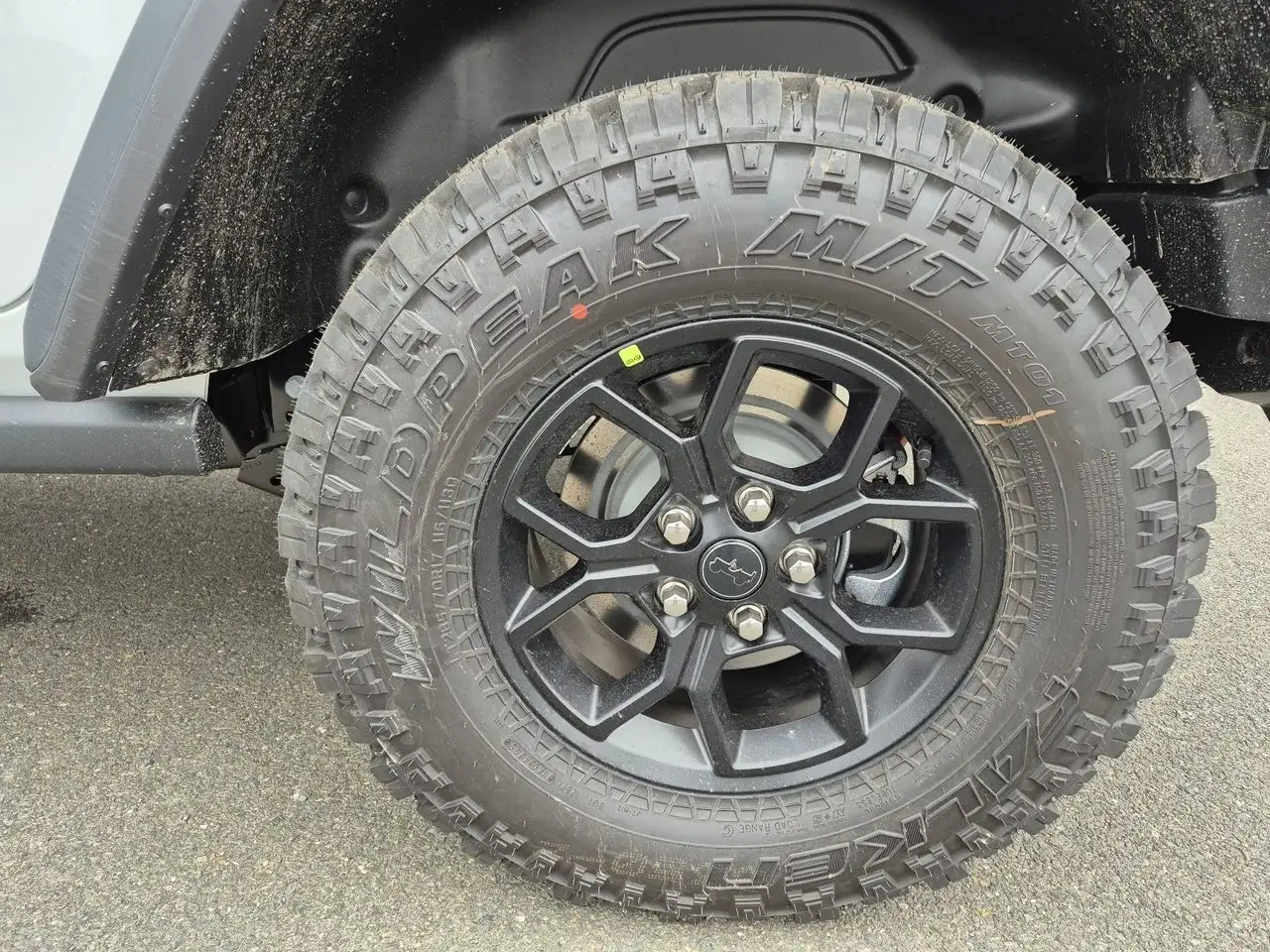 Jeep Wrangler fotografie Jeep Wrangler