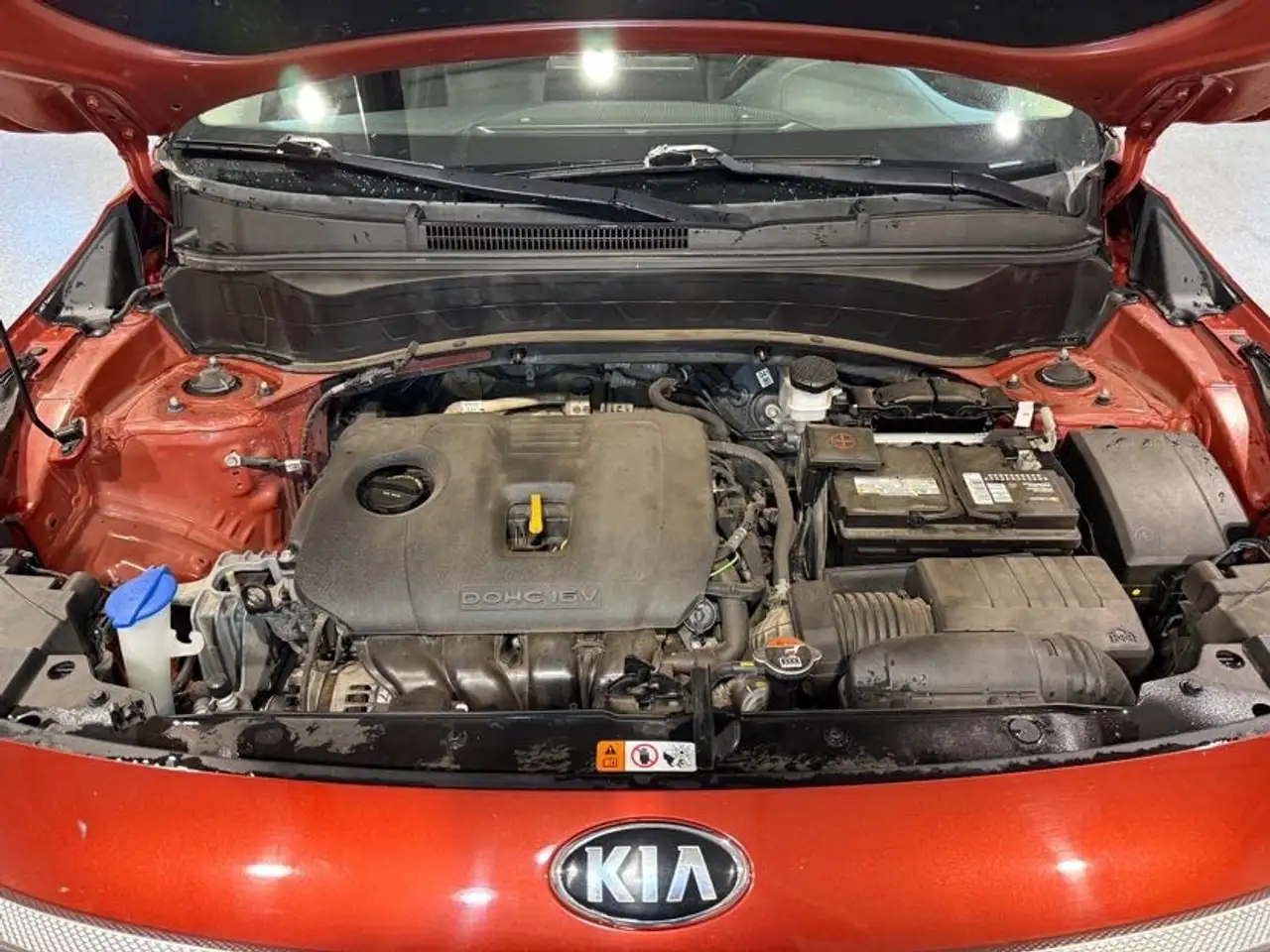 Kia Seltos fotografie Kia Seltos