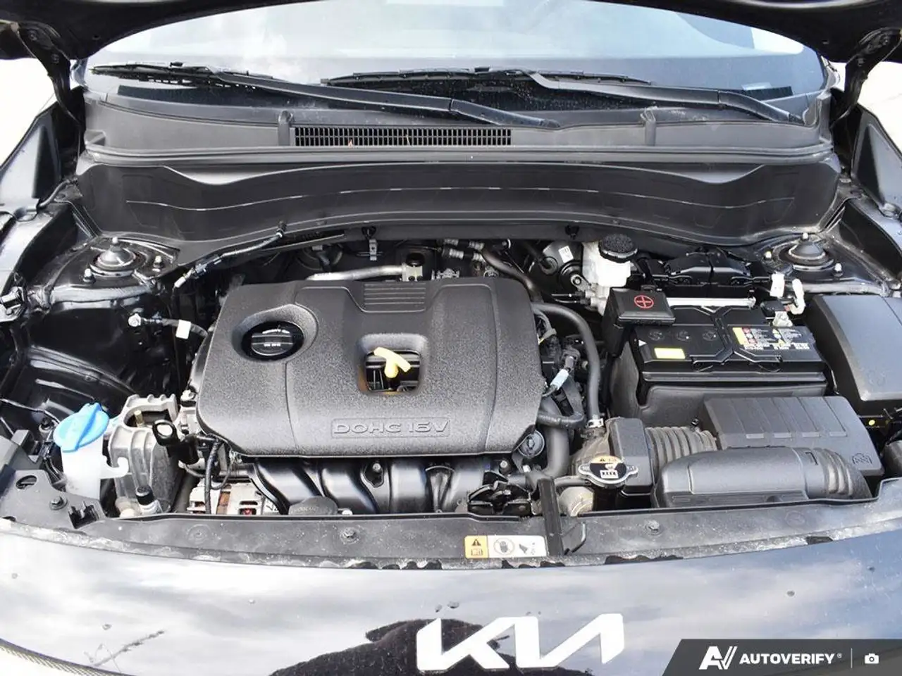 Kia Seltos fotografie Kia Seltos
