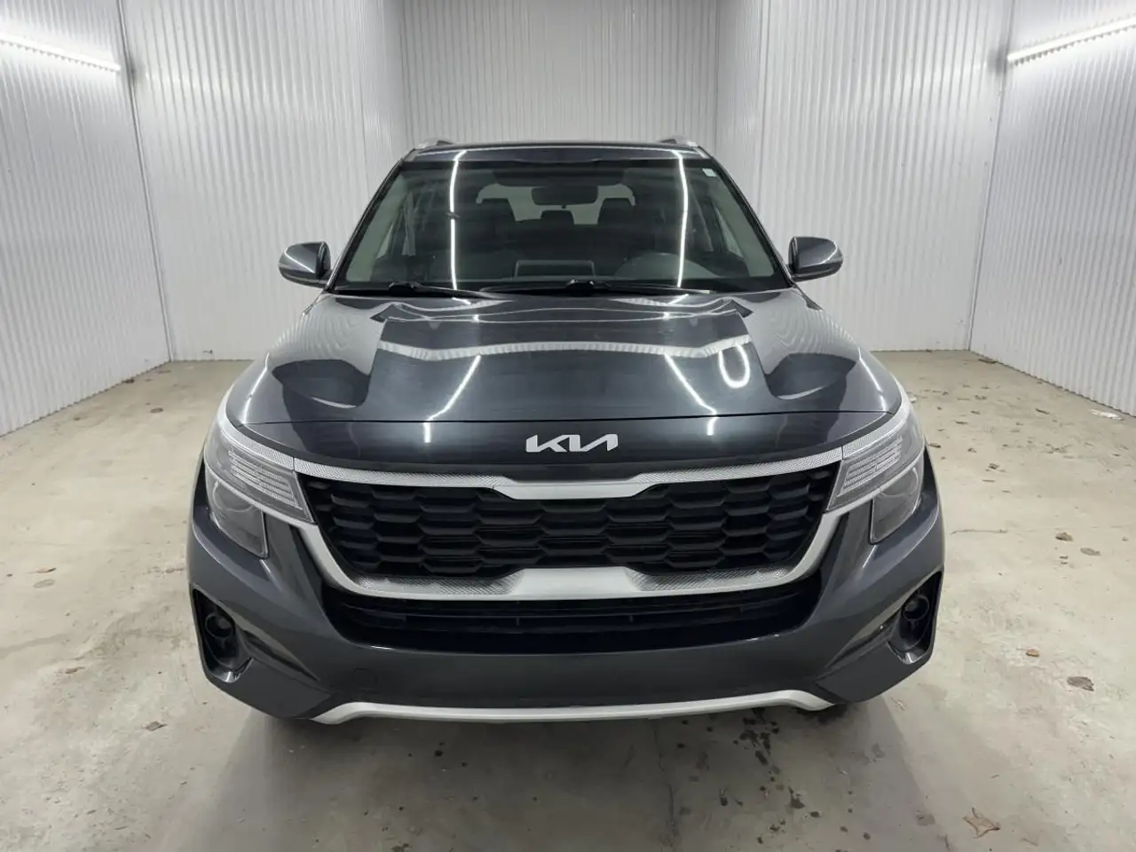 Kia Seltos photo Kia Seltos