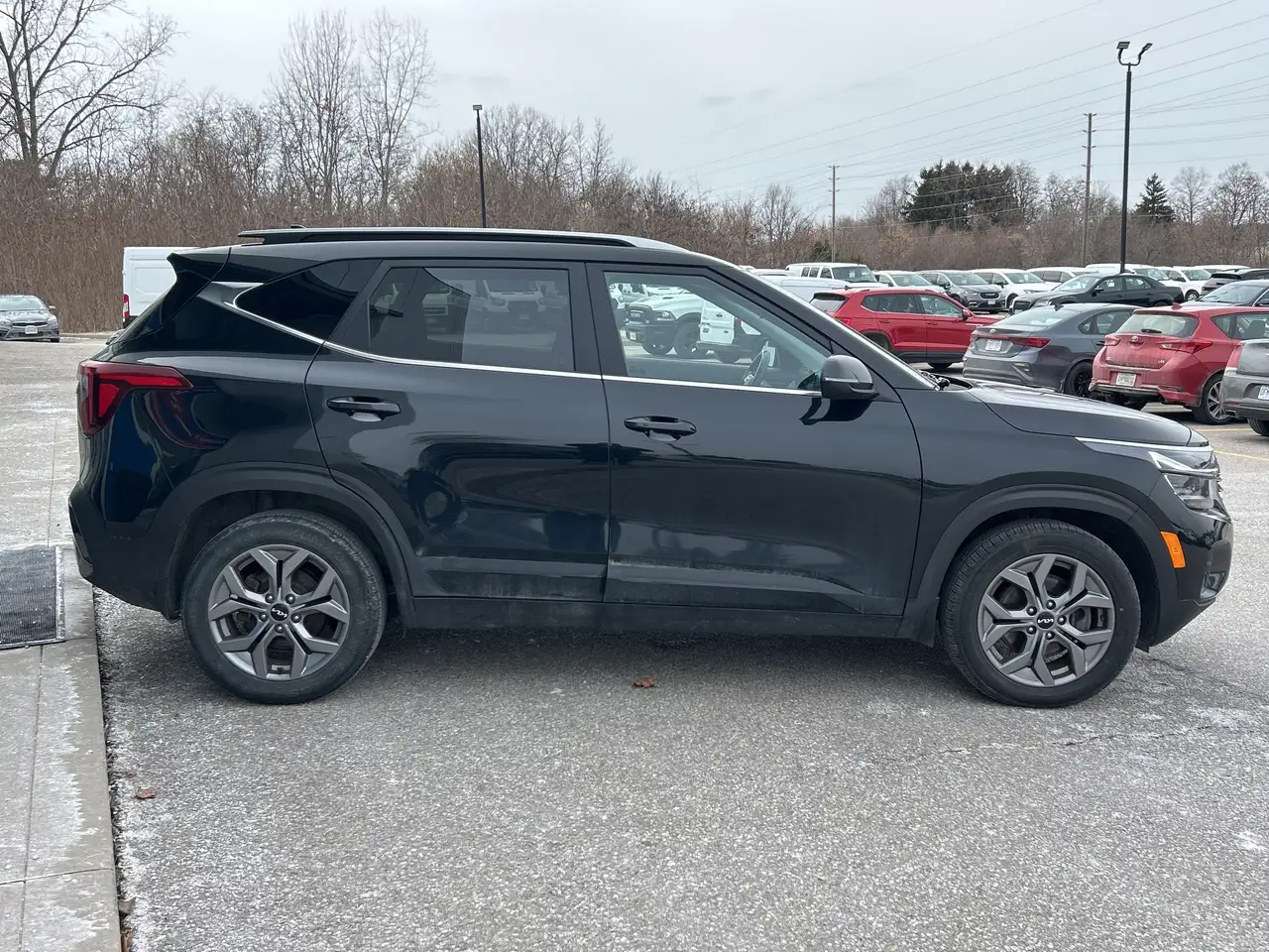 Kia Seltos fotografie Kia Seltos