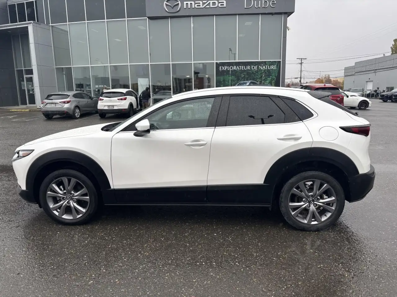 Mazda CX-30 fotografie Mazda CX-30