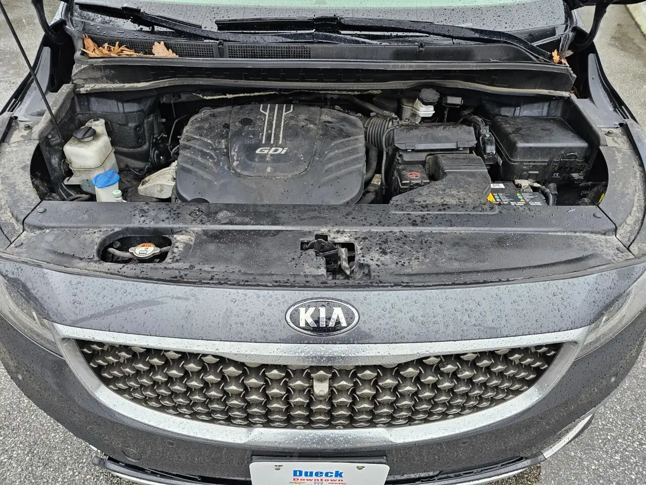 Kia Sedona fotografie Kia Sedona