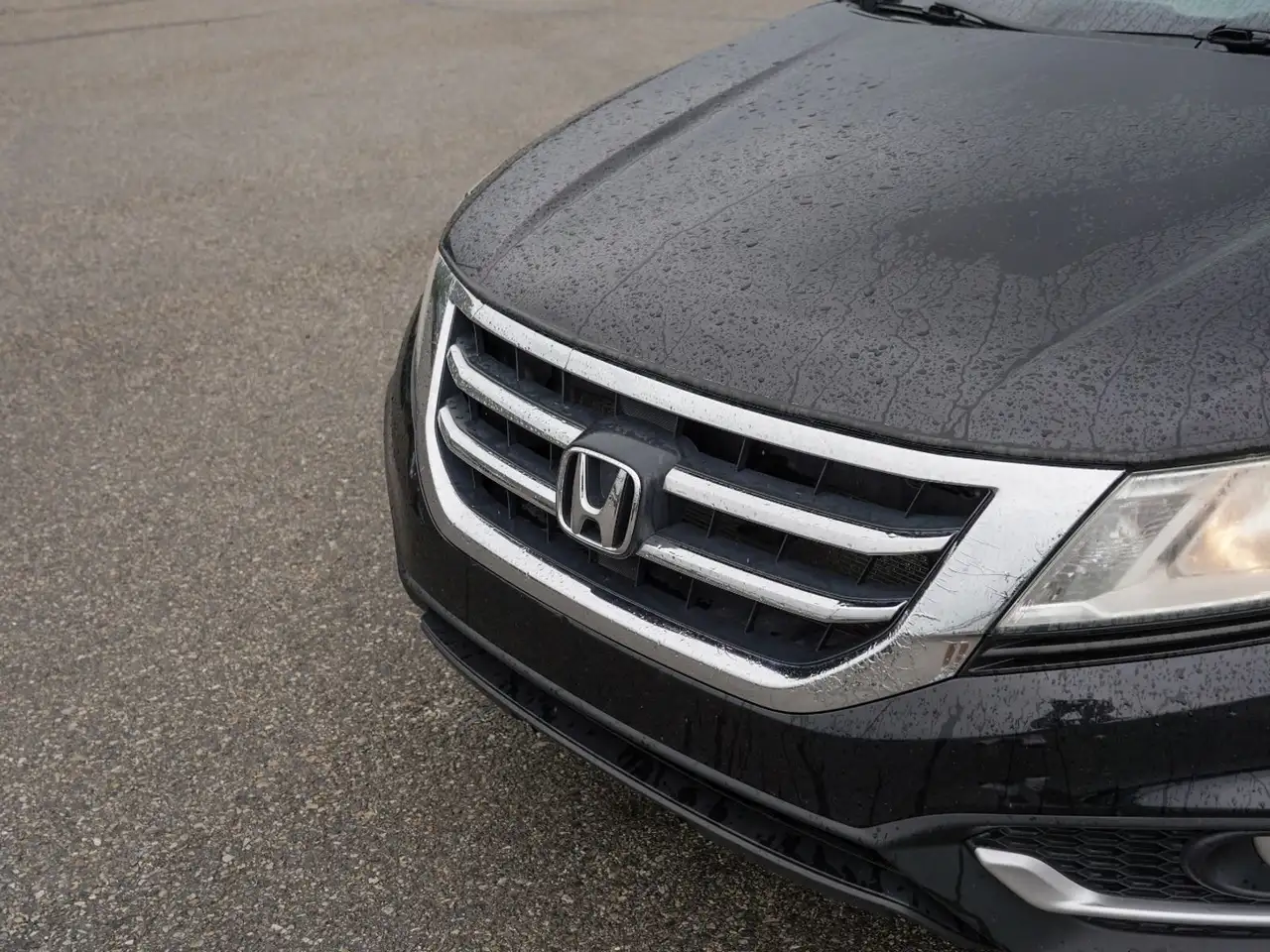 Honda Crosstour fotografie Honda Crosstour