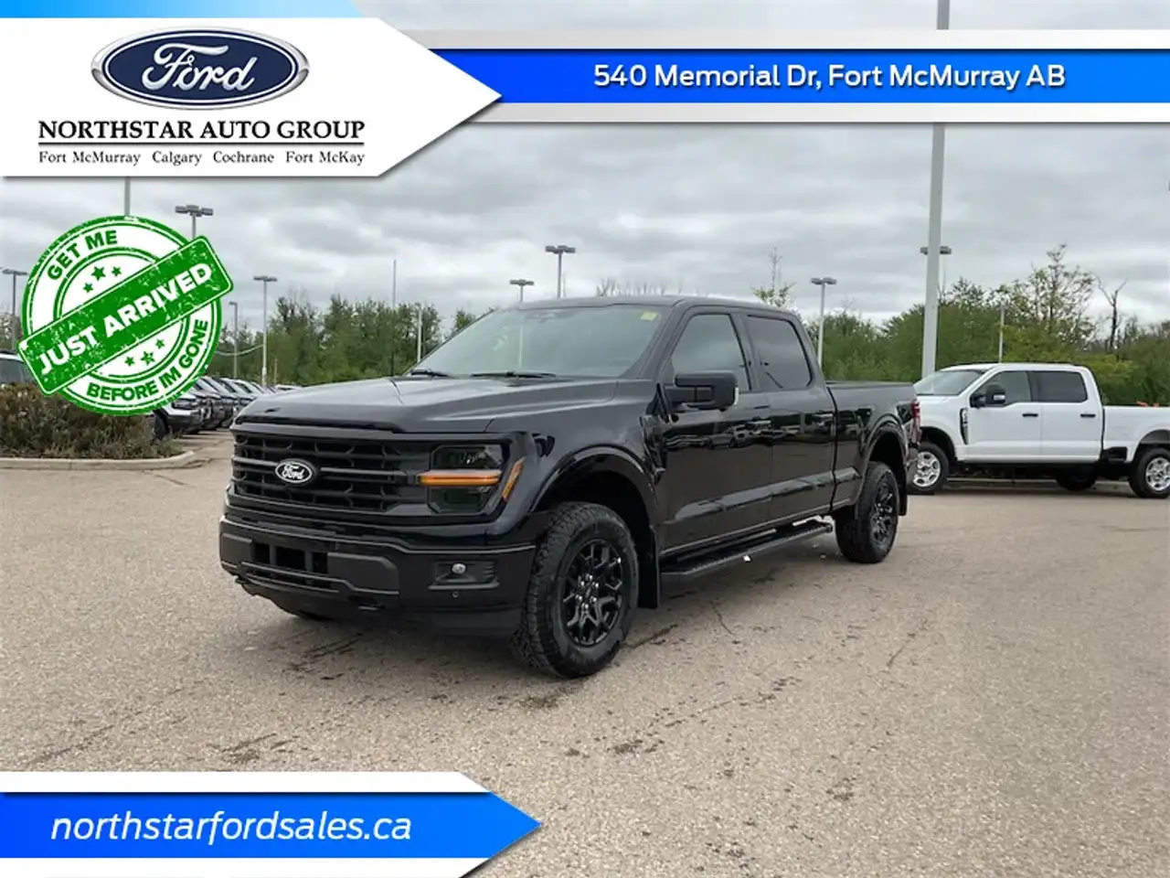 2026 Ford F 150