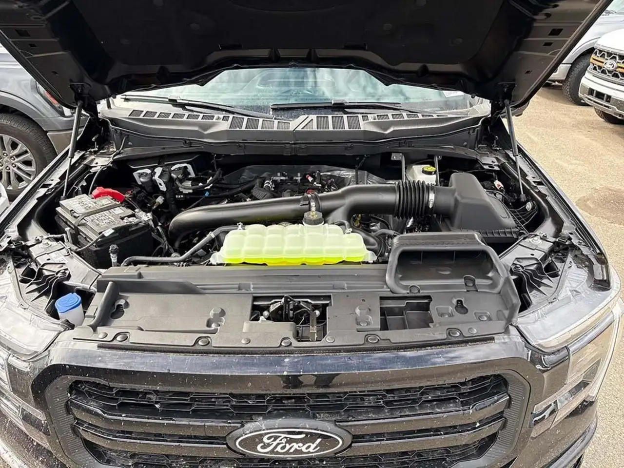 Ford F 150 fotografie Ford F 150