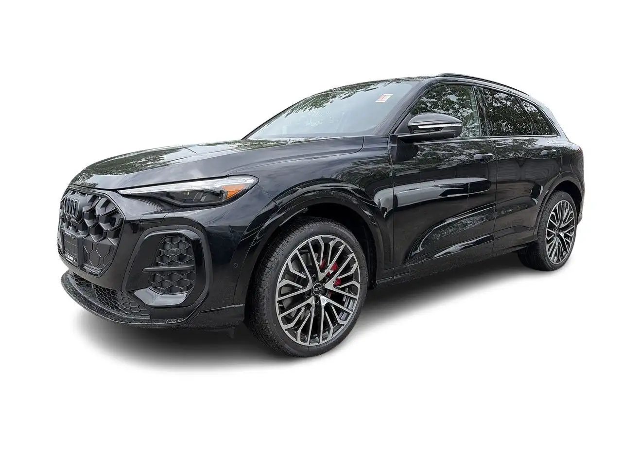 Audi SQ5 photo Audi SQ5