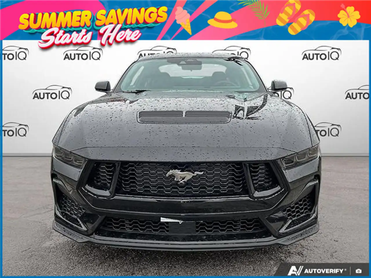 Ford Mustang fotografie Ford Mustang