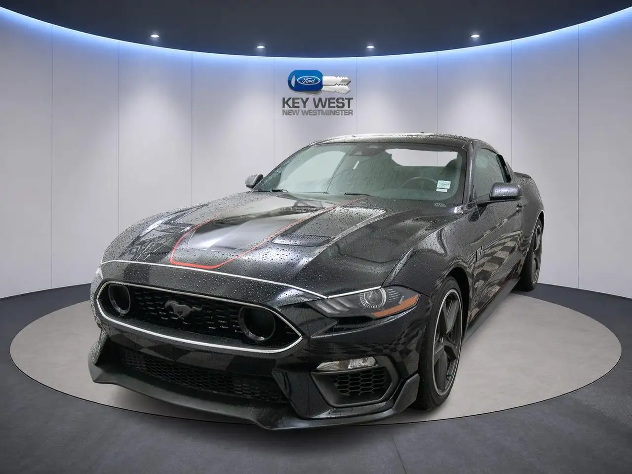 Ford Mustang fotografie Ford Mustang