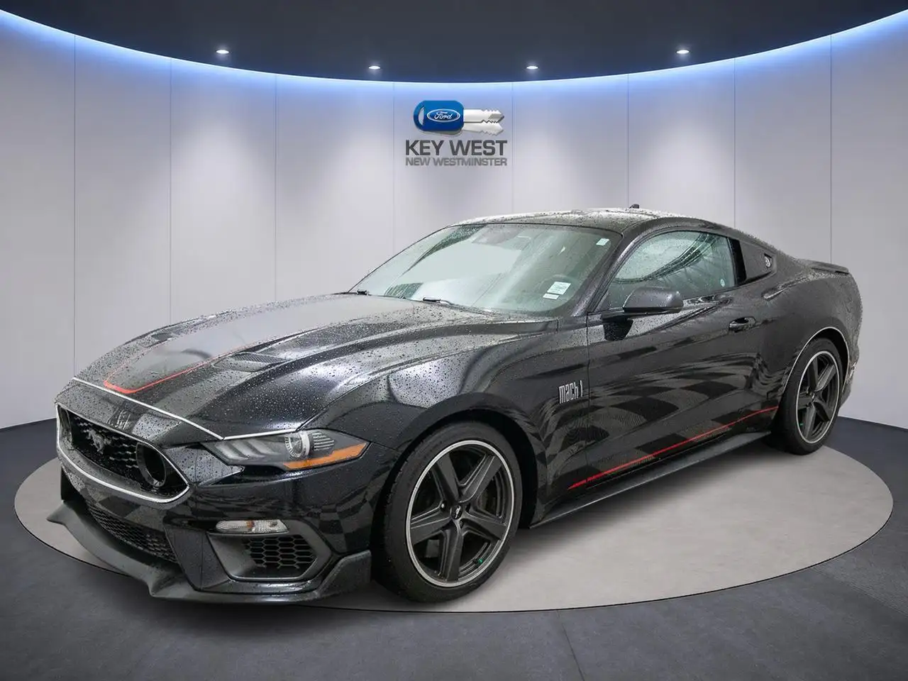 Ford Mustang fotografie Ford Mustang