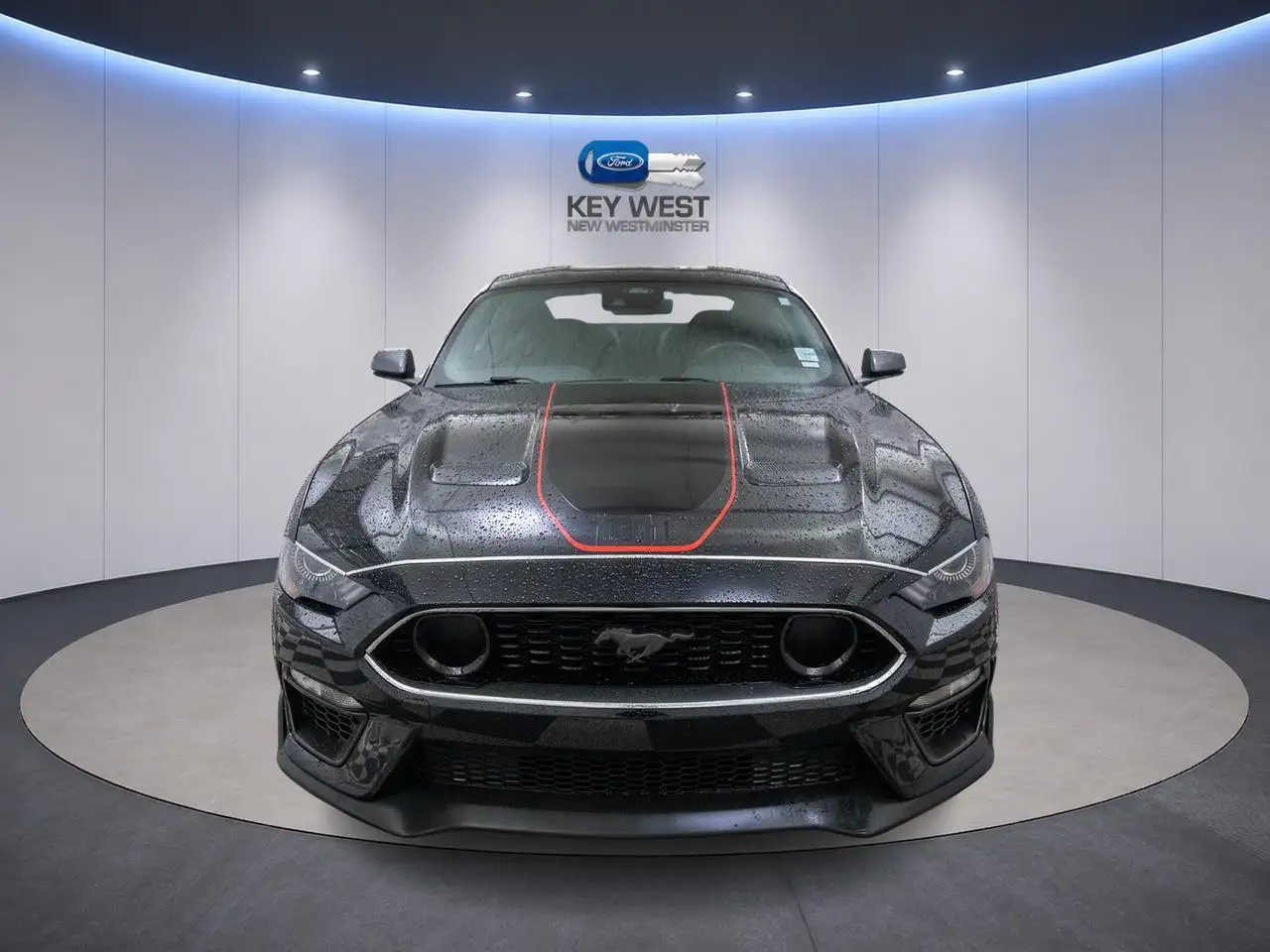 Ford Mustang fotografie Ford Mustang