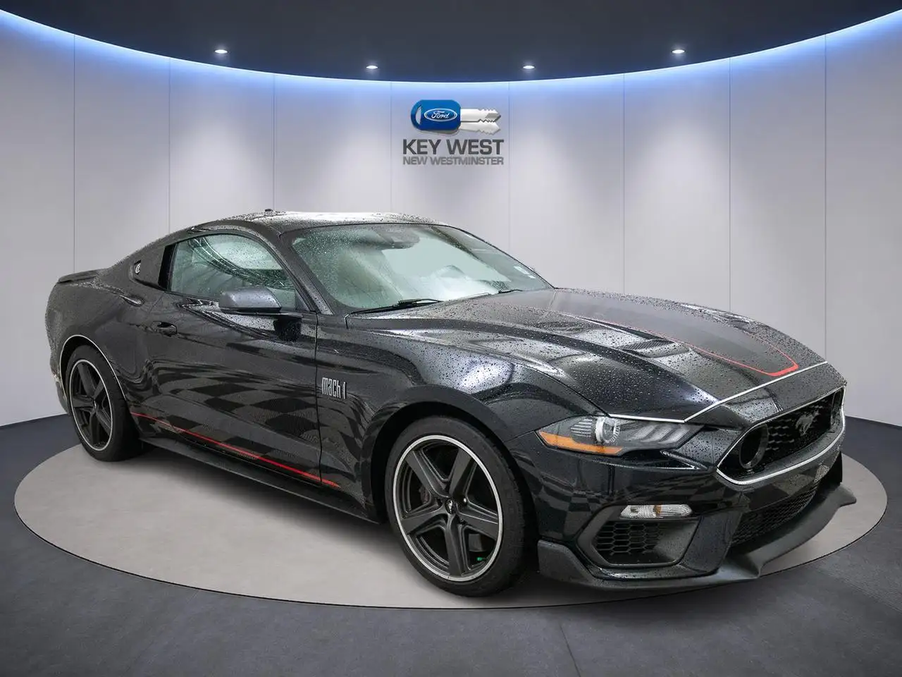 Ford Mustang fotografie Ford Mustang