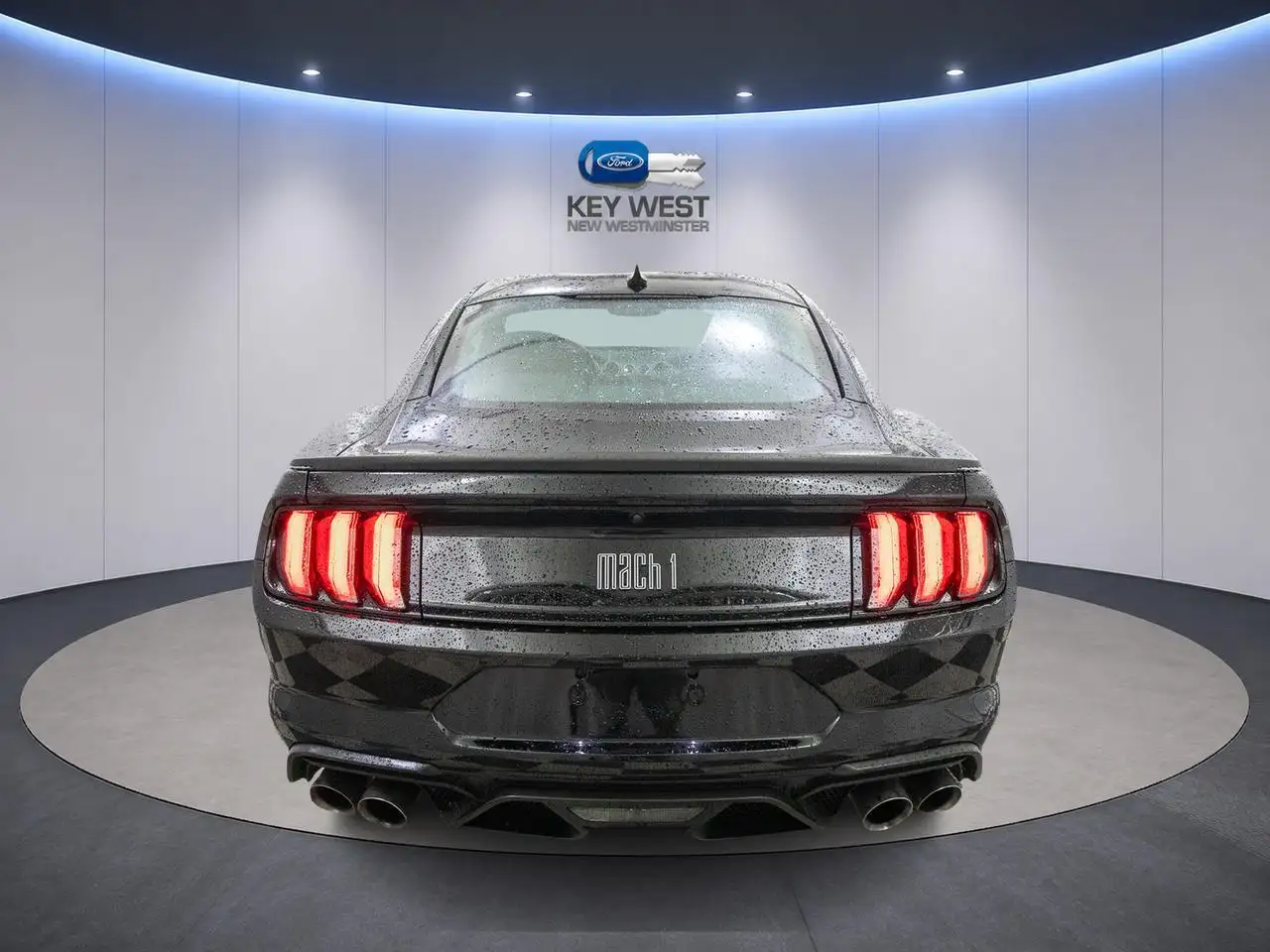 Ford Mustang fotografie Ford Mustang