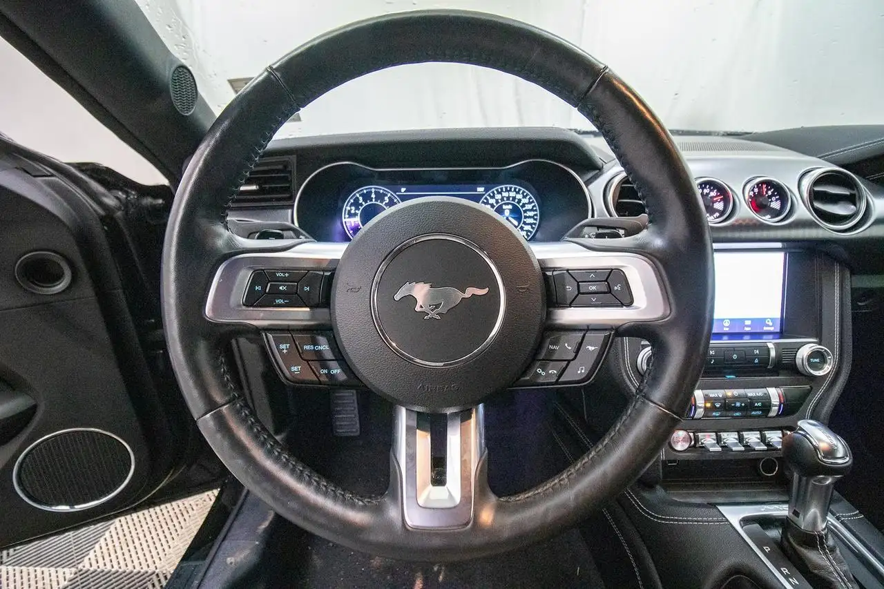 Ford Mustang fotografie Ford Mustang