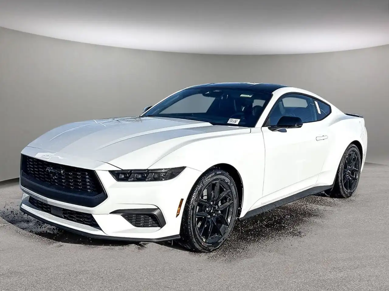 Ford Mustang photo Ford Mustang