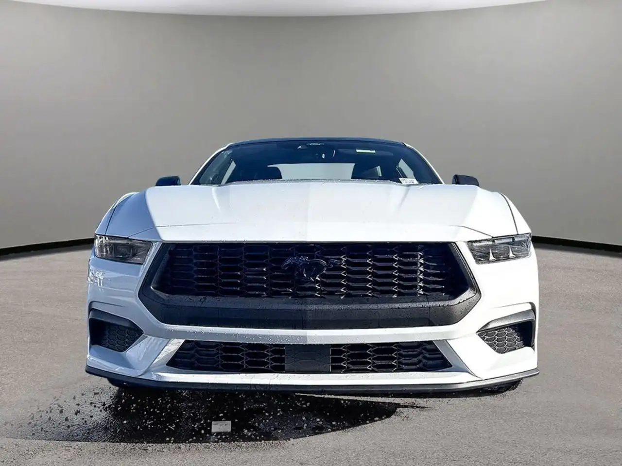 Ford Mustang photo Ford Mustang