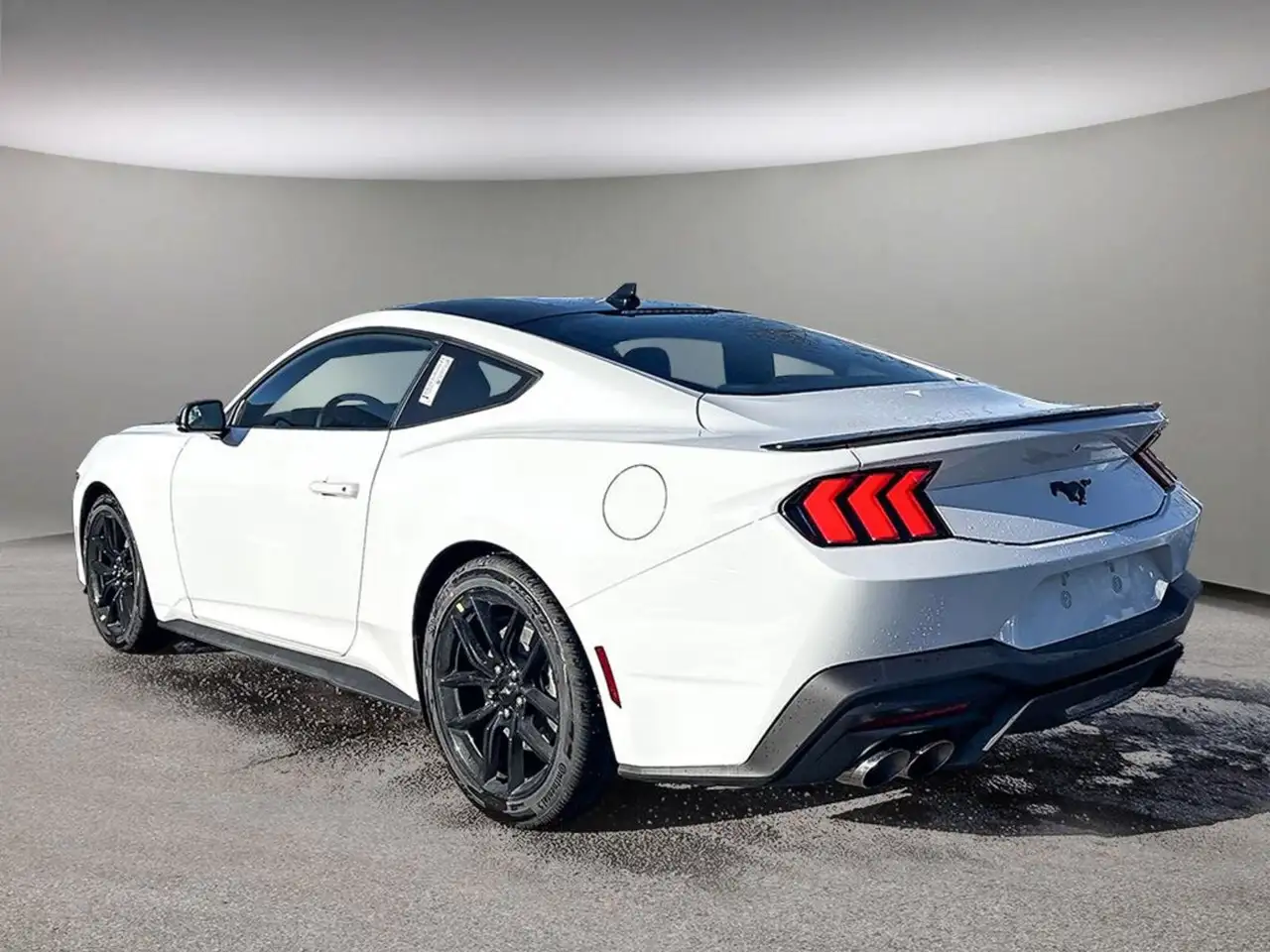 Ford Mustang photo Ford Mustang