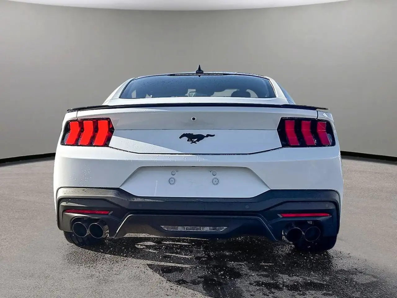 Ford Mustang photo Ford Mustang