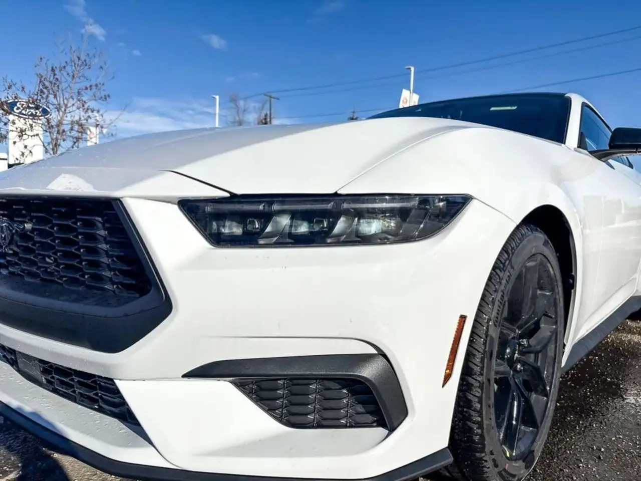 Ford Mustang photo Ford Mustang