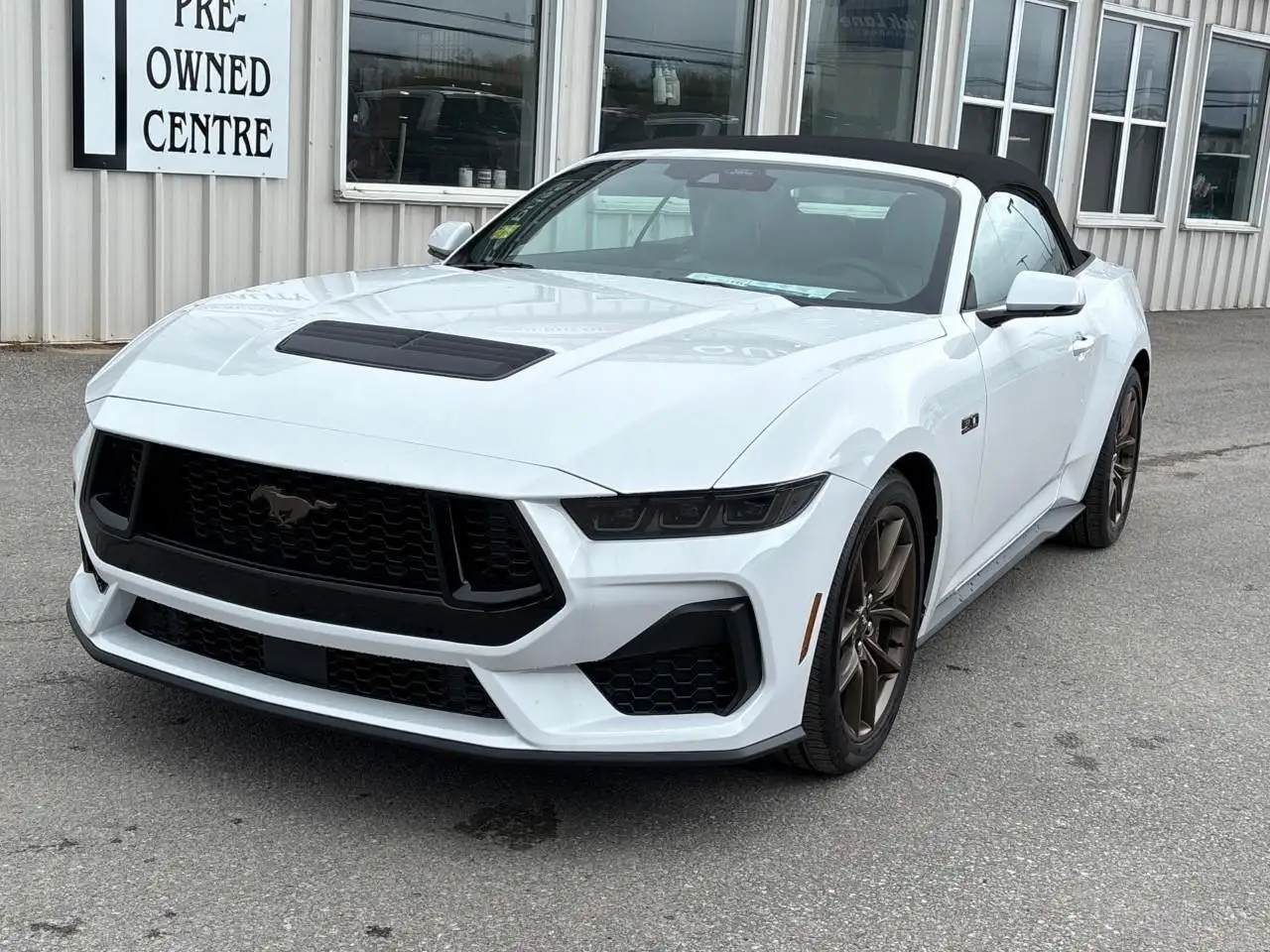 Ford Mustang fotografie Ford Mustang