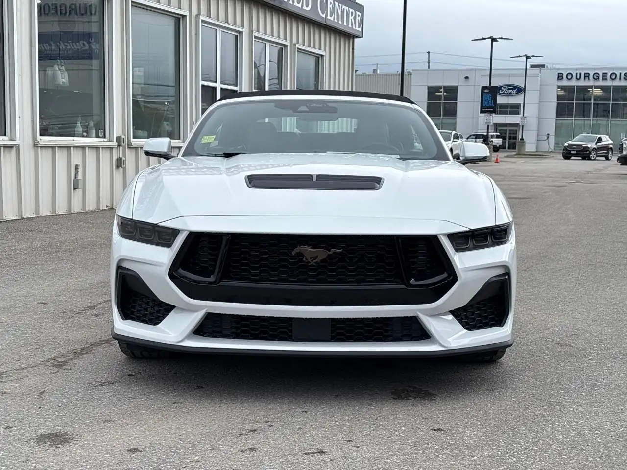 Ford Mustang fotografie Ford Mustang