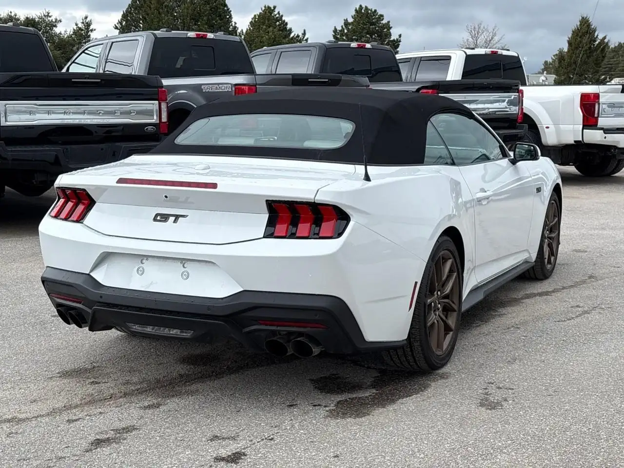 Ford Mustang fotografie Ford Mustang