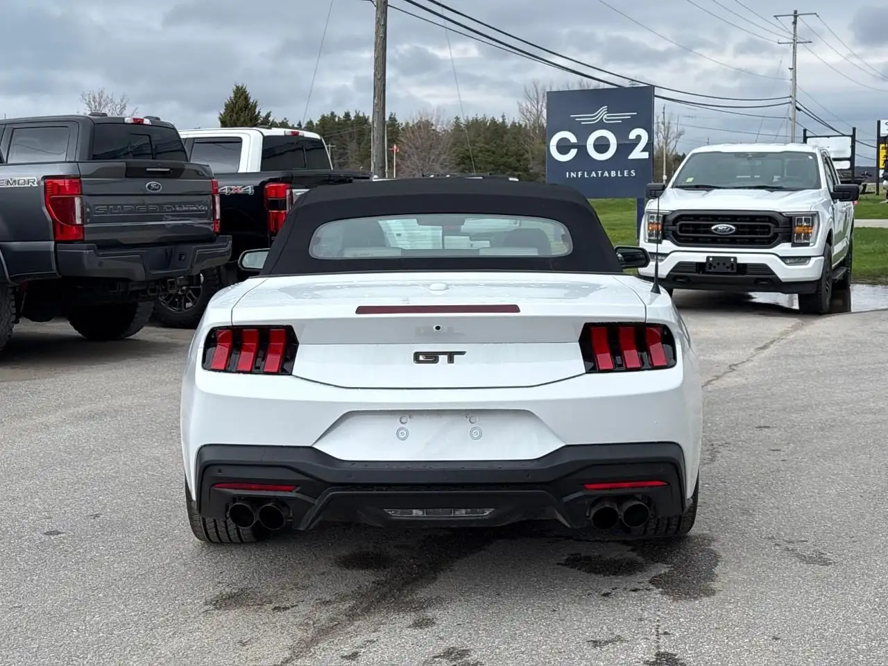 Ford Mustang fotografie Ford Mustang