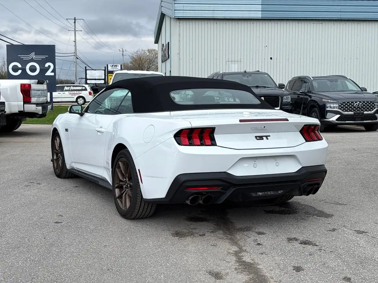 Ford Mustang fotografie Ford Mustang