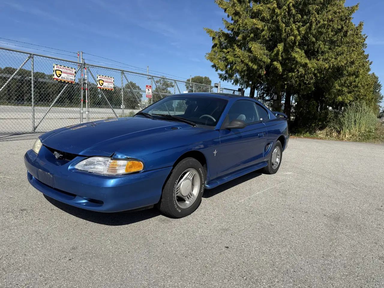 Ford Mustang fotografie Ford Mustang