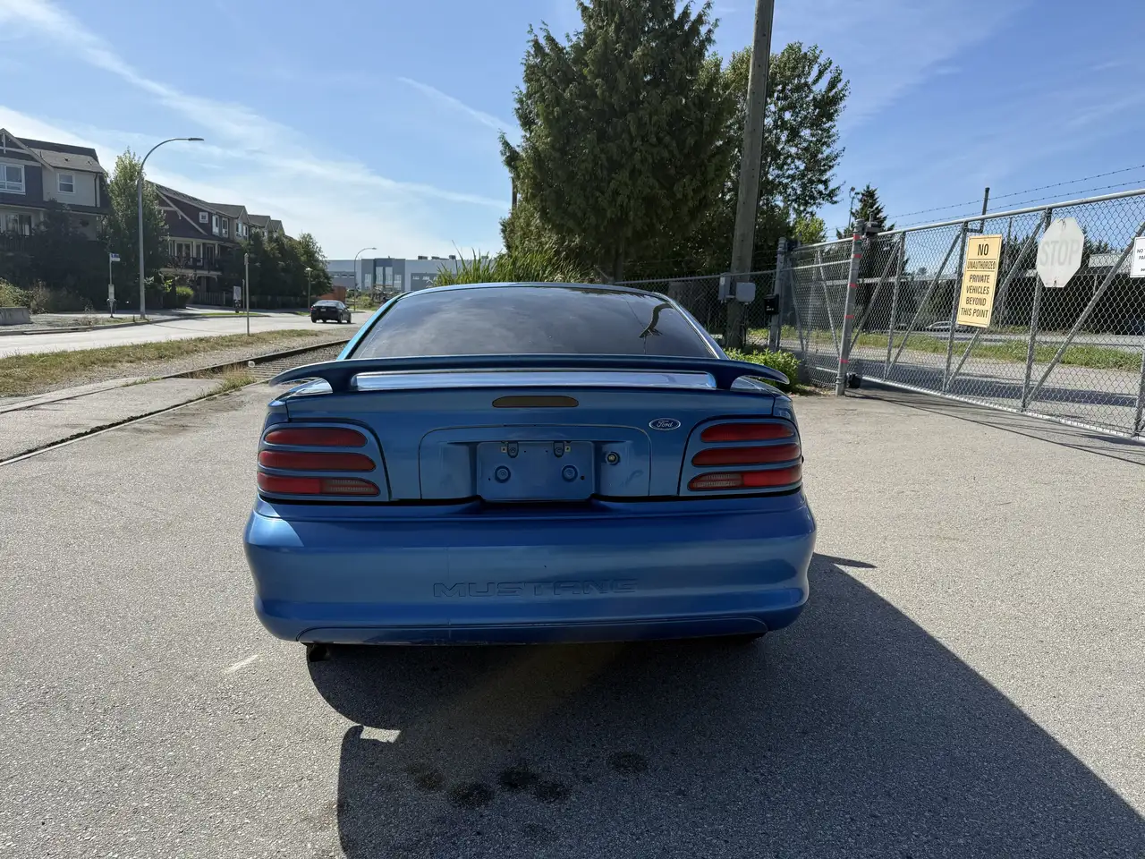 Ford Mustang fotografie Ford Mustang