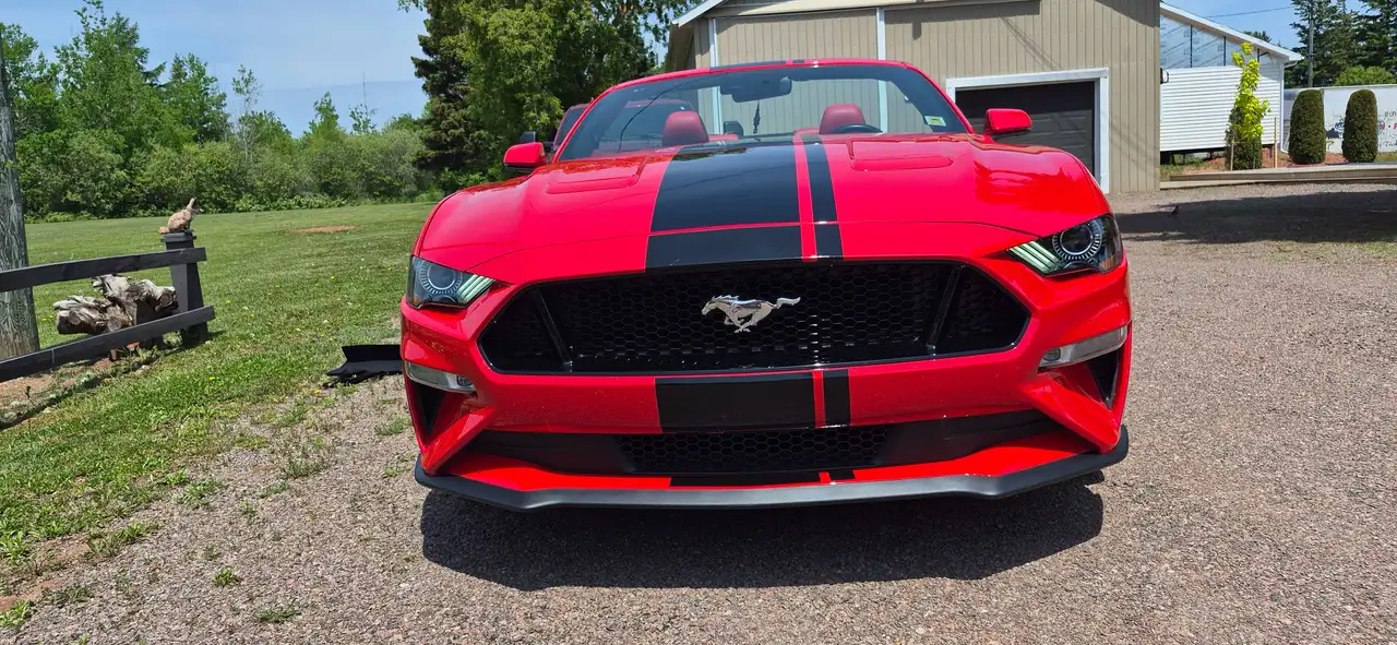 2019 Ford Mustang