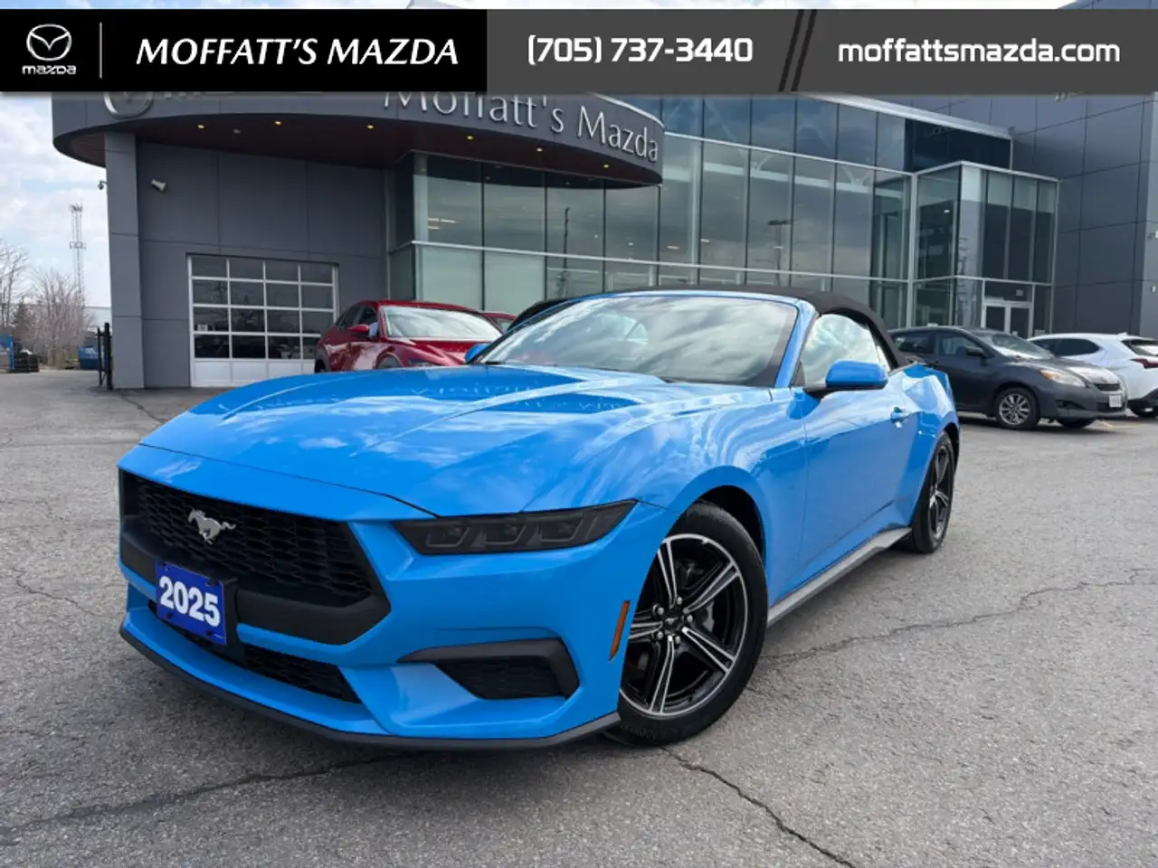 Ford Mustang fotografie Ford Mustang