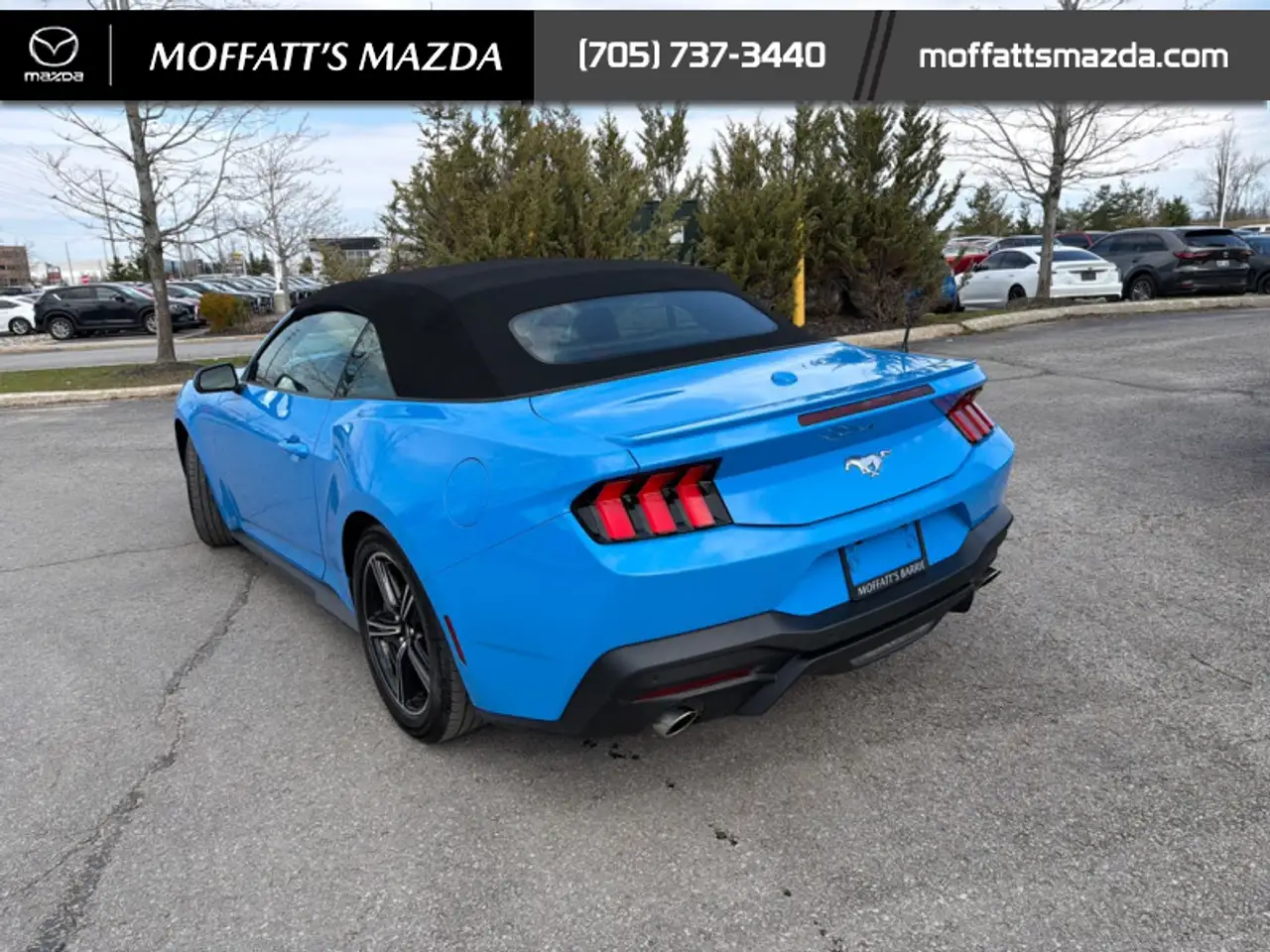 Ford Mustang fotografie Ford Mustang