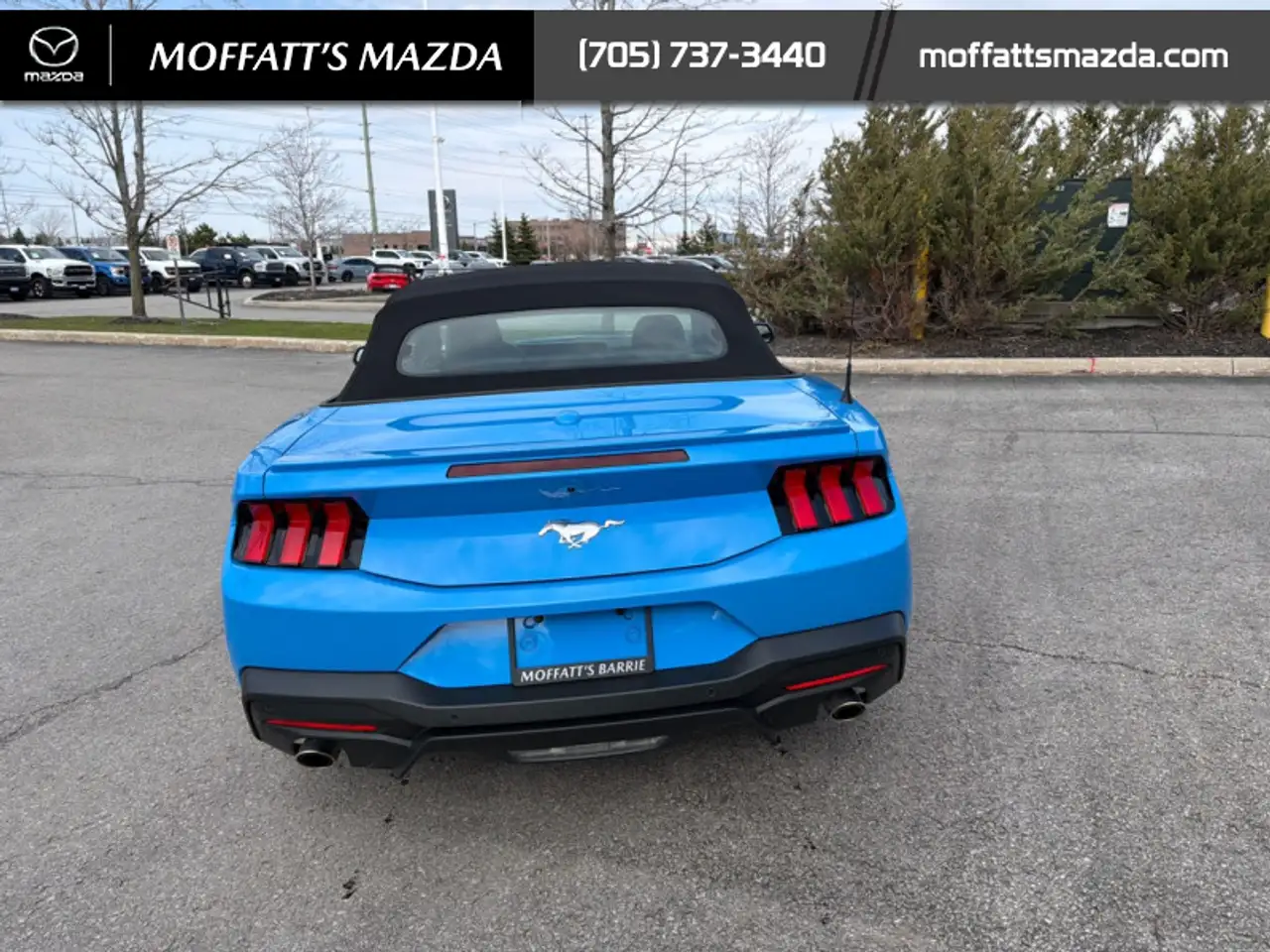 Ford Mustang fotografie Ford Mustang