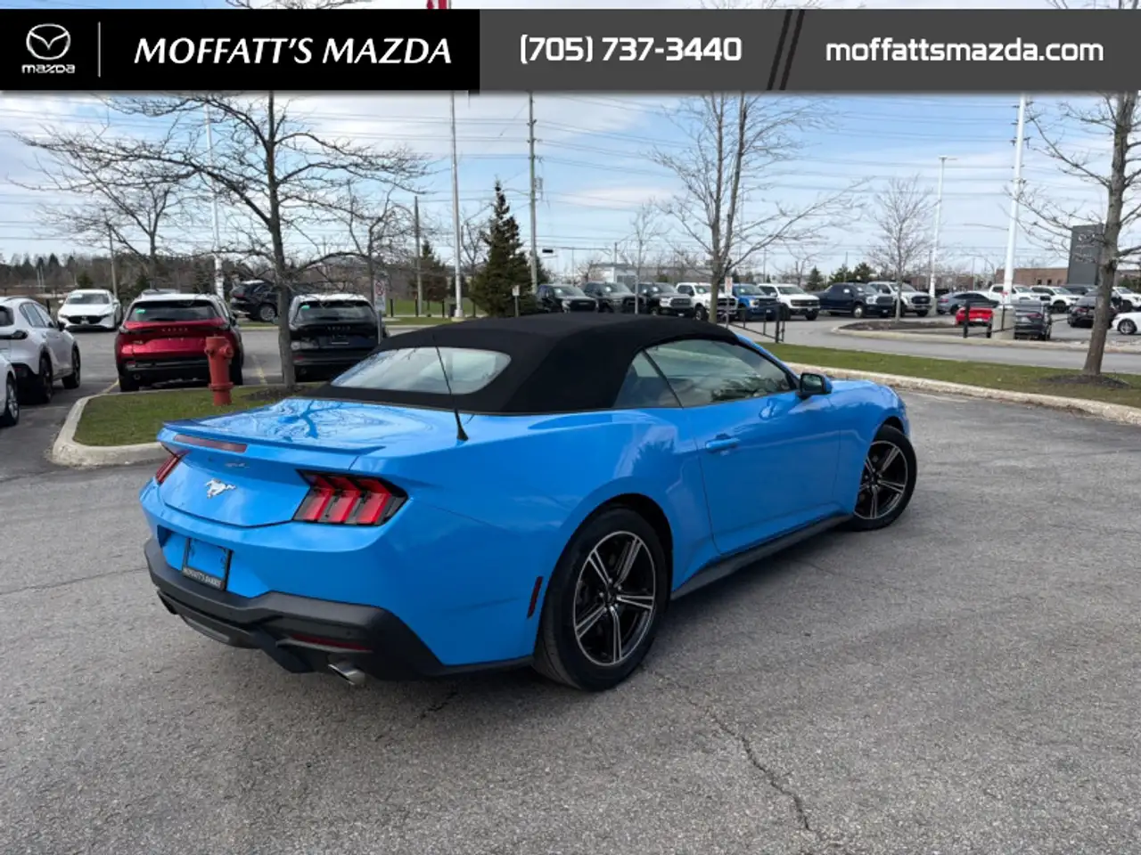 Ford Mustang fotografie Ford Mustang