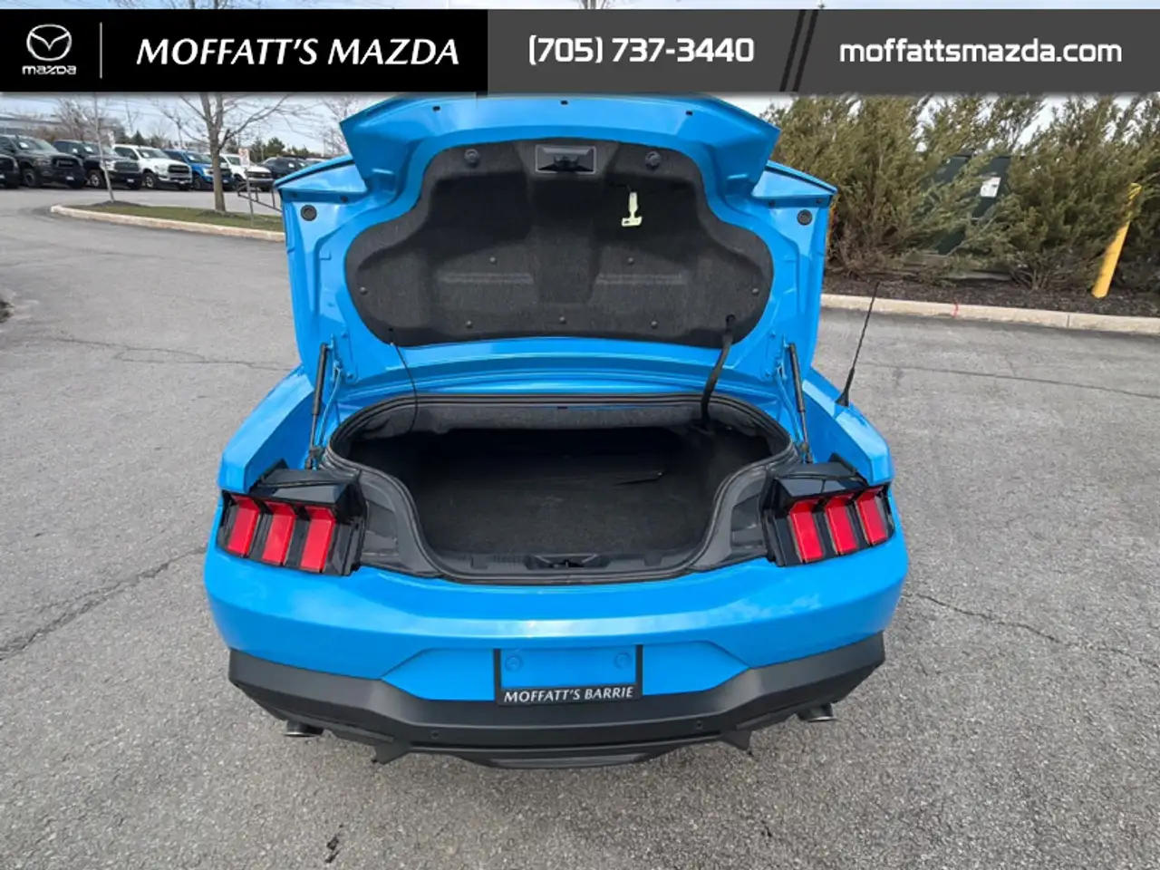 Ford Mustang fotografie Ford Mustang
