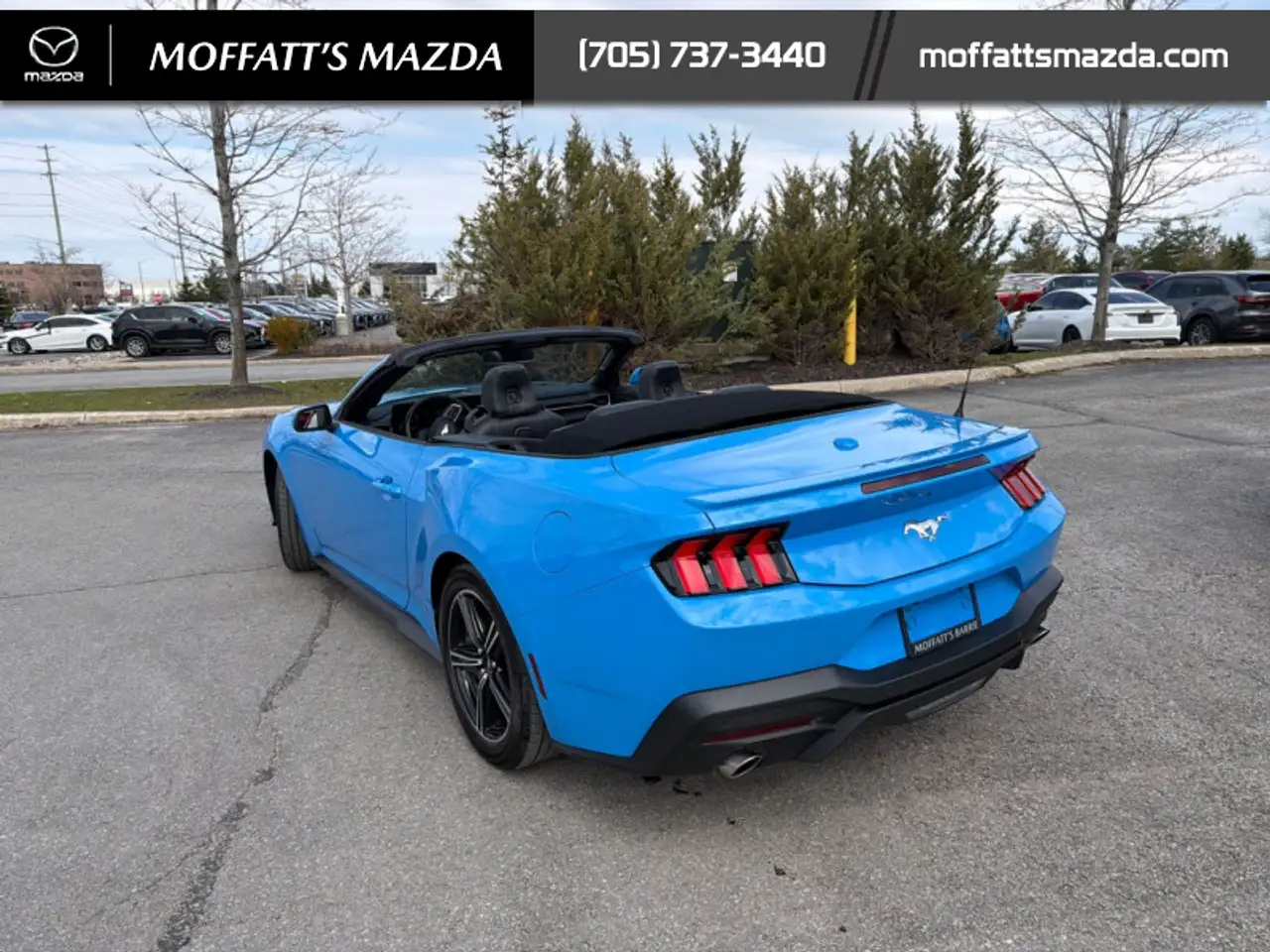 Ford Mustang fotografie Ford Mustang