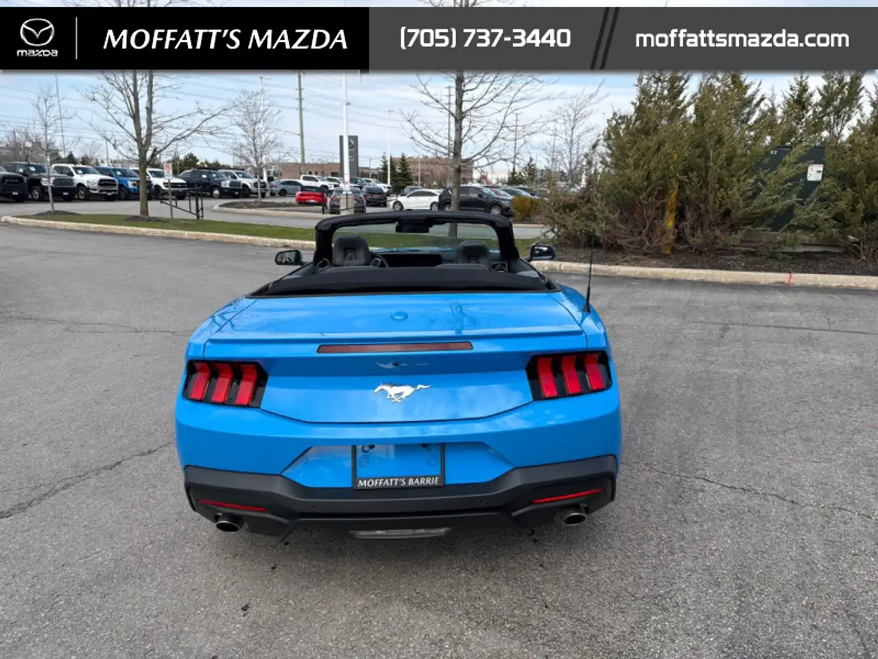Ford Mustang fotografie Ford Mustang