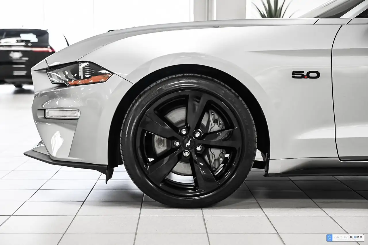 Ford Mustang fotografie Ford Mustang