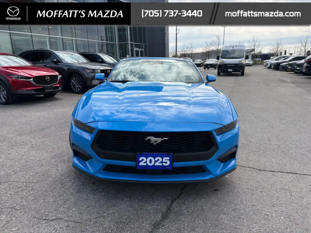 Ford Mustang fotografie Ford Mustang