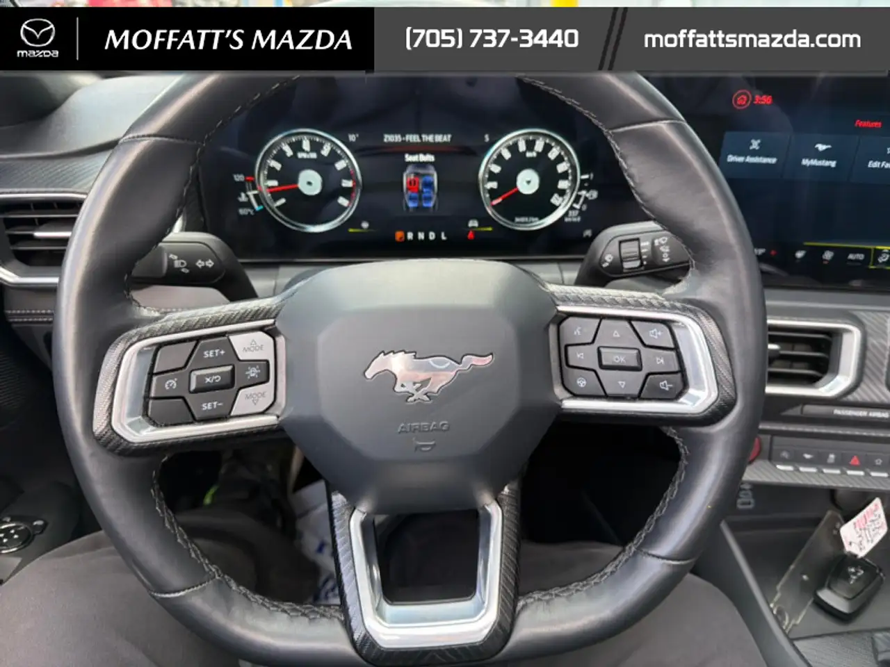 Ford Mustang fotografie Ford Mustang