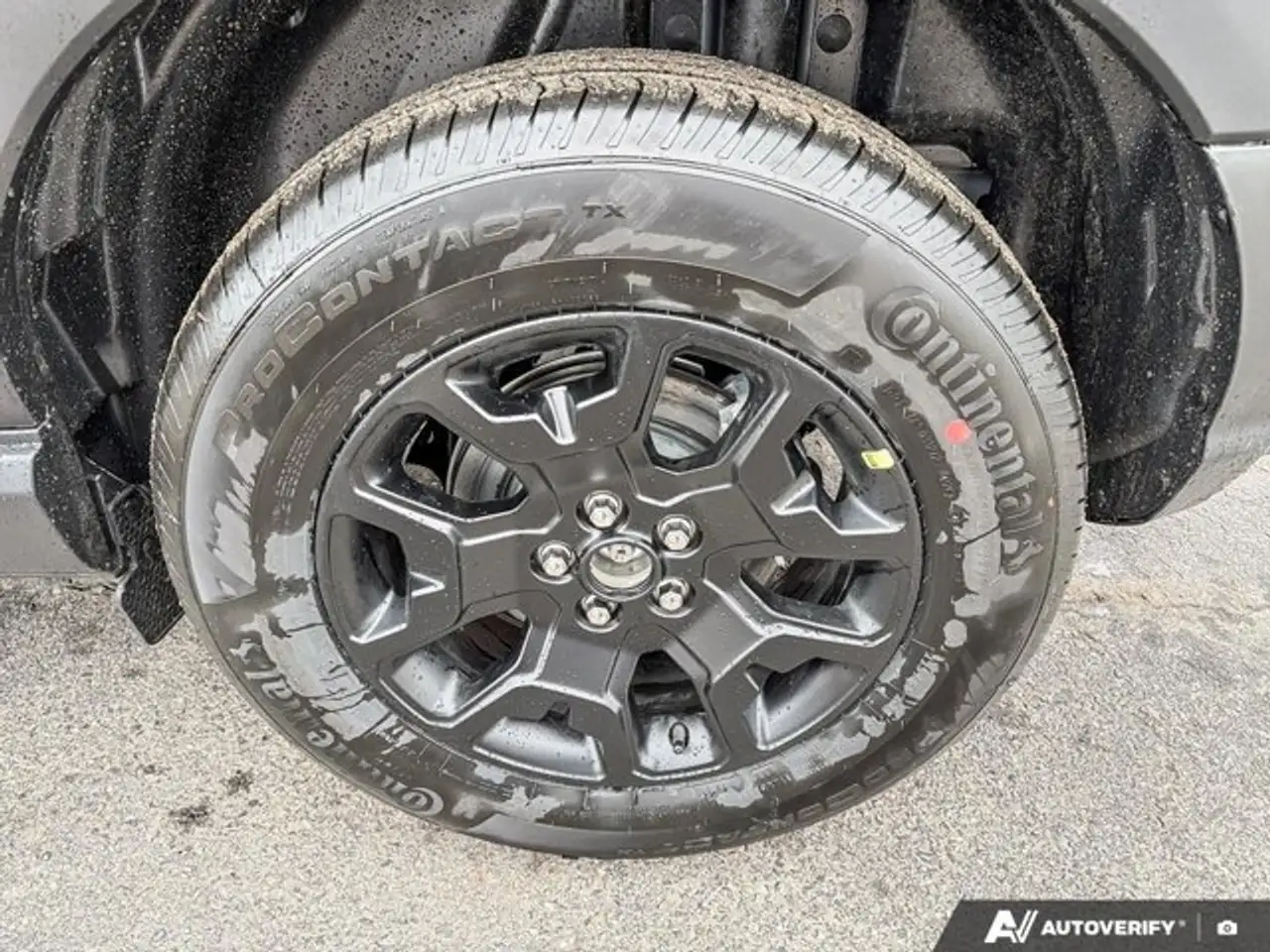 Ford Bronco Sport снимка Ford Bronco Sport
