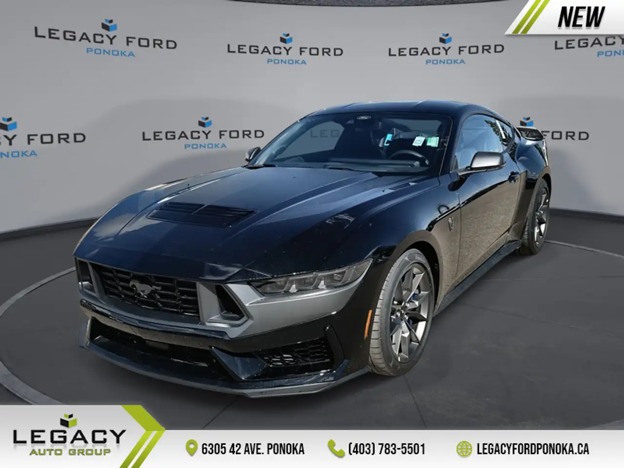 Ford Mustang fotografie Ford Mustang