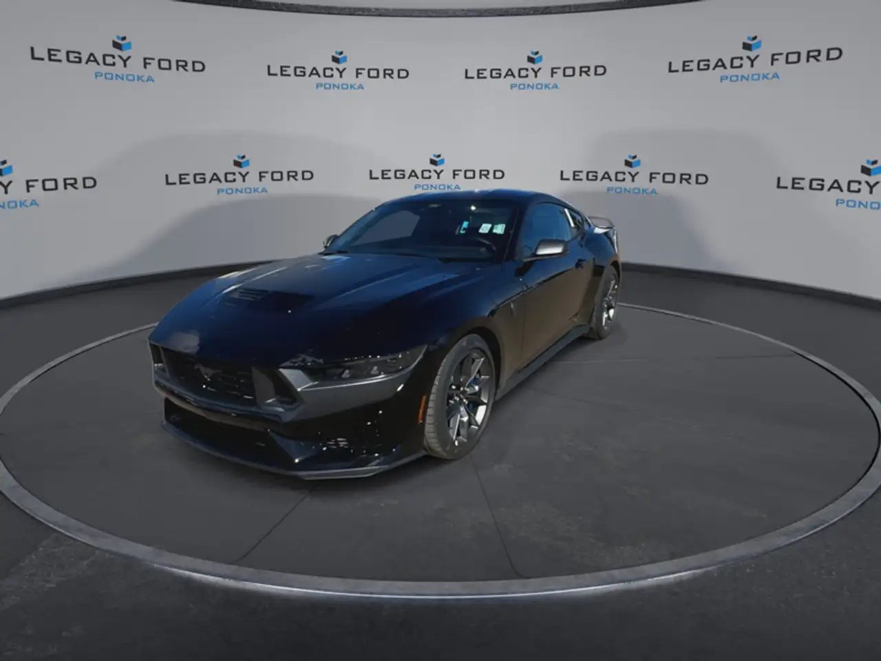 Ford Mustang fotografie Ford Mustang